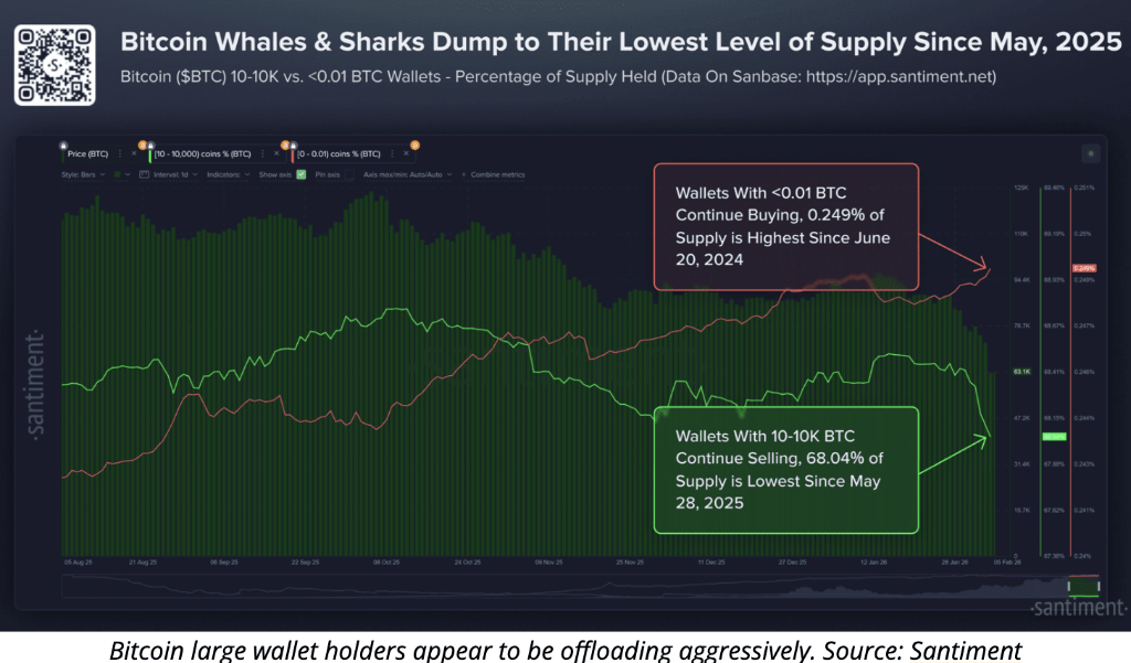 Bitcoin Whales & Sharks Dump to Their Lowest Level of Supply Since May, 2025